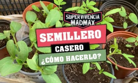 Cómo hacer un semillero casero